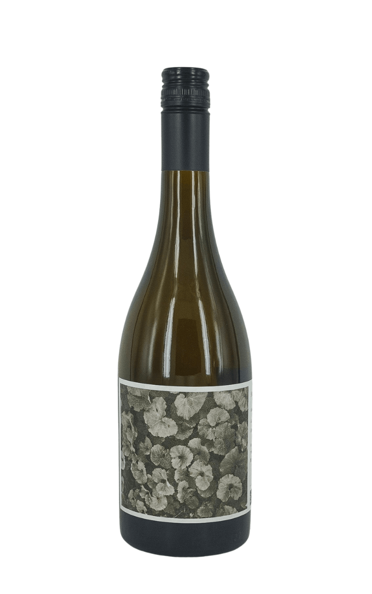 Aperture Farm "Not to be somebody" Chenin Blanc 2023White WineAperture FarmAshita no Wine